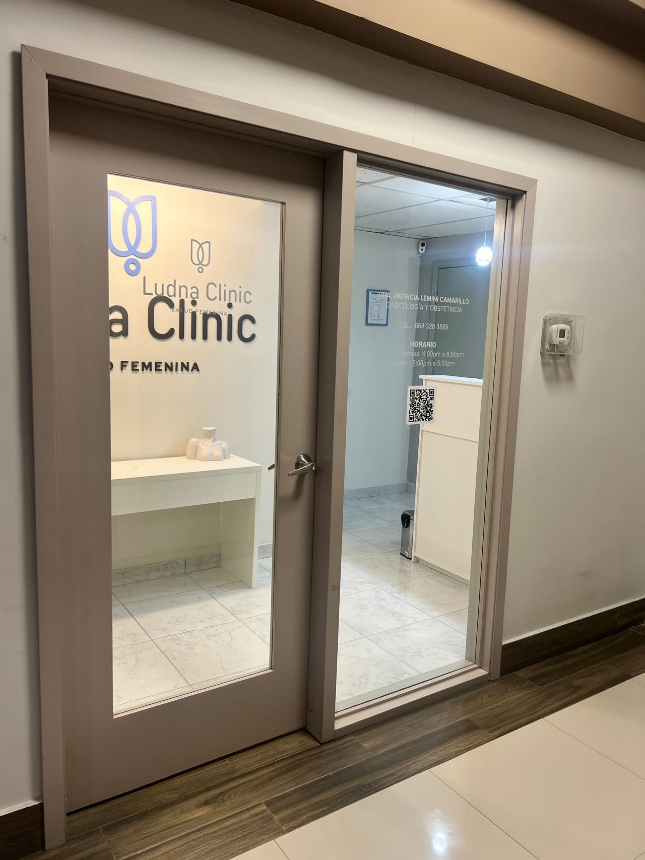 Patricia Lemini Camarillo-1