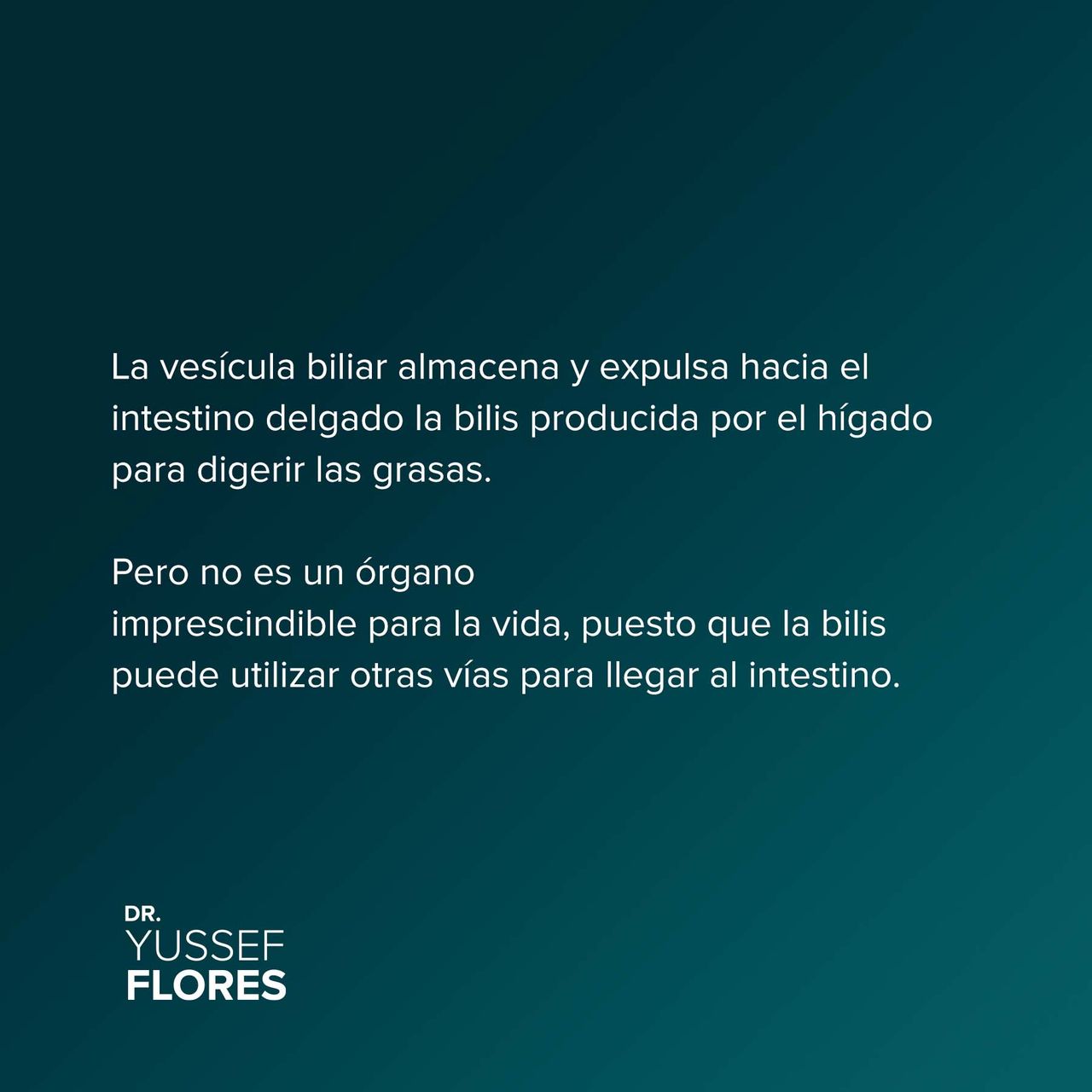 Yussef Flores López-72