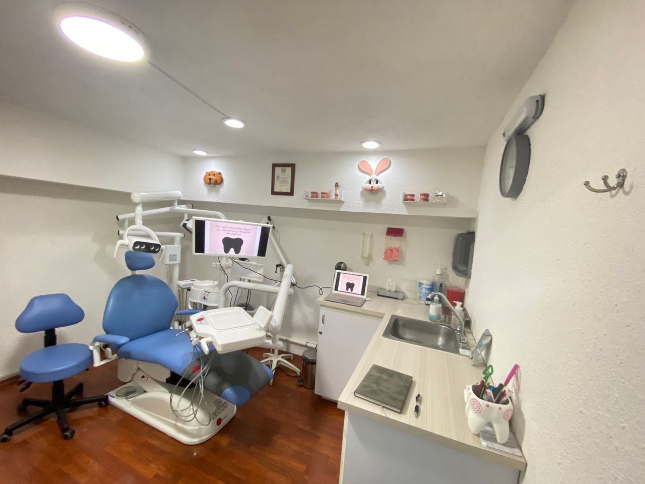 Aline Hernandez Moguel-4