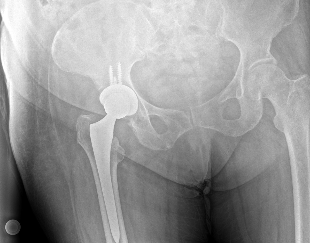 Rafael Medina Gutiérrez-11