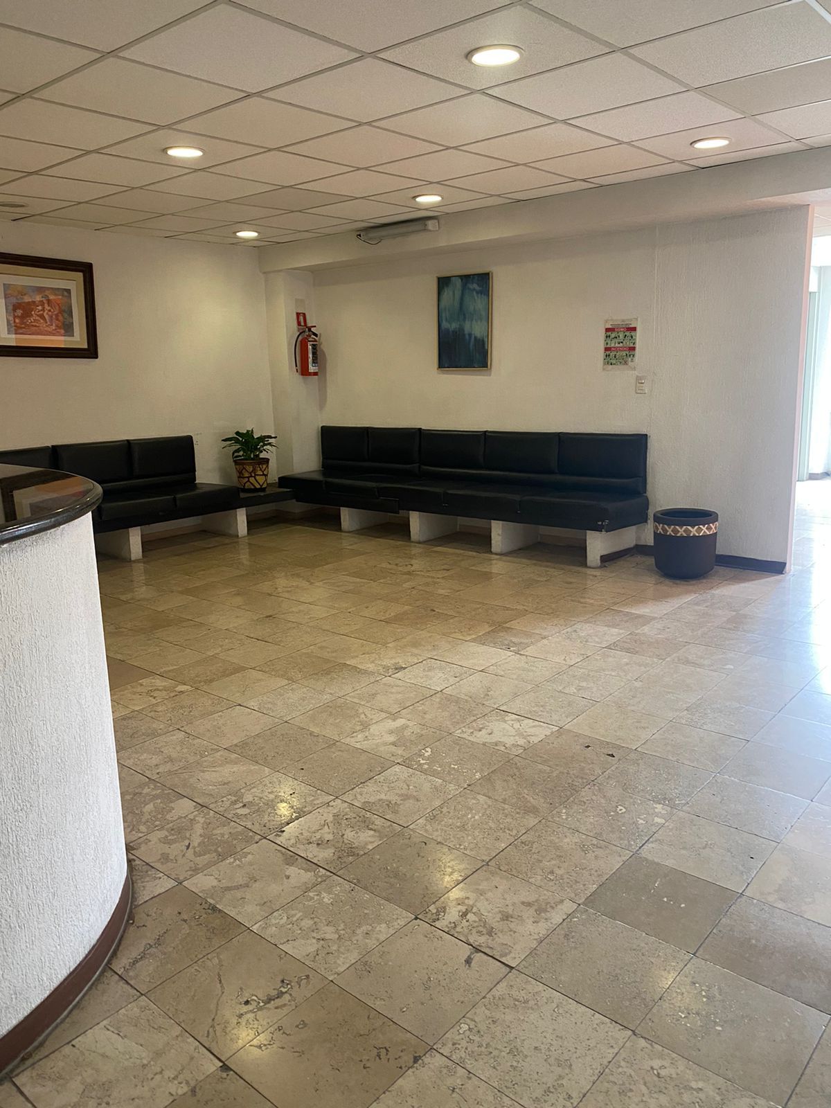 Daniela Guerrero Nava-4