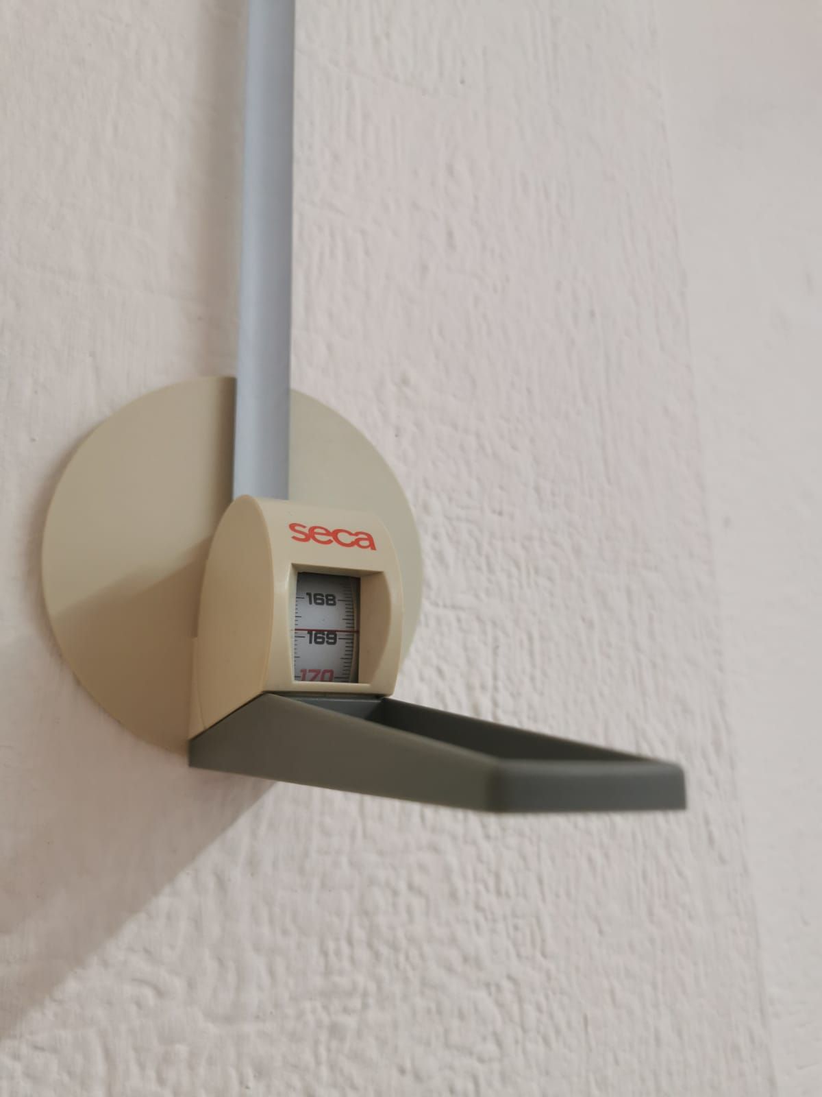 Luz Abril G. Barcelata-7