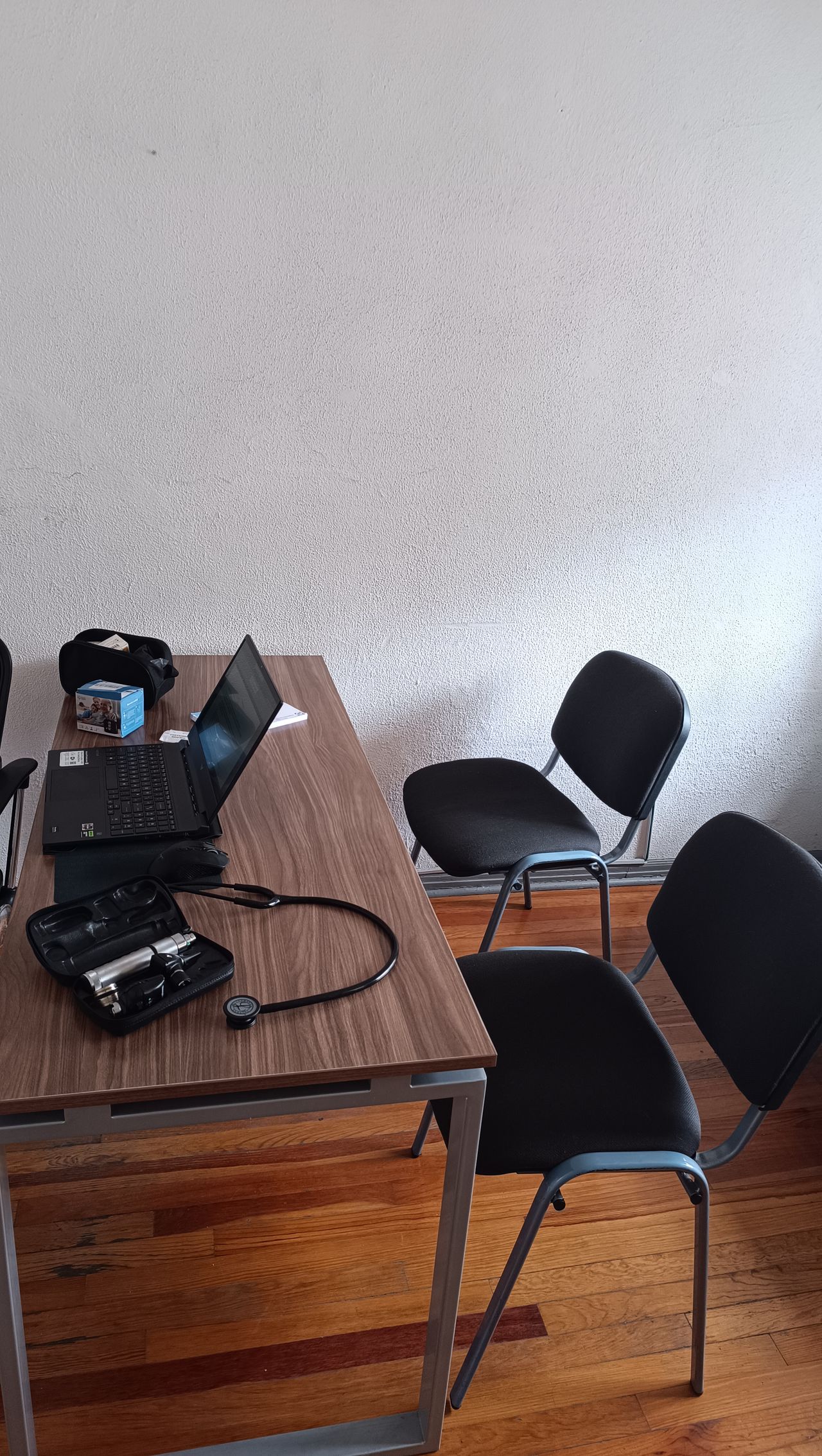 Luis Rodrigo Bañuelos Garcia-10