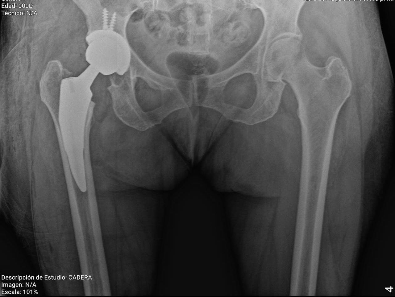 J. Miguel Zamarripa Jáuregui-14