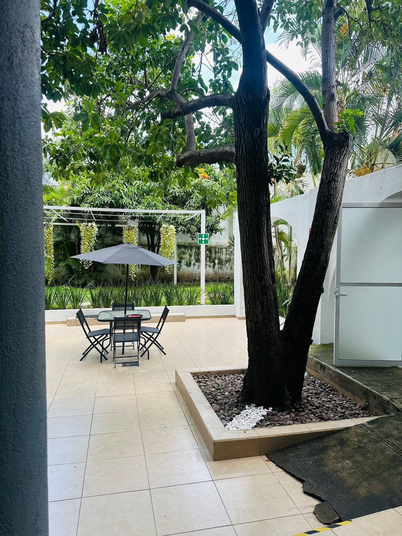 Lucero Gonzalez Pineda-10