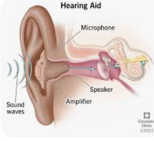 Maria Lidia Sánchez-19