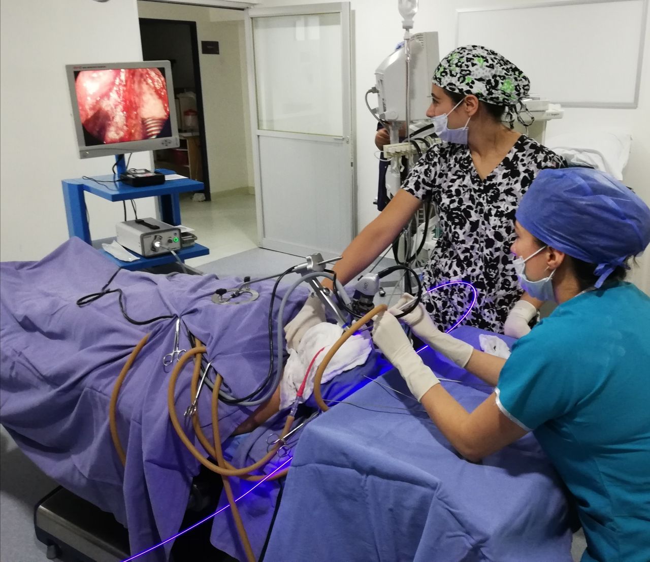 Claudia Cobos Palacios-7