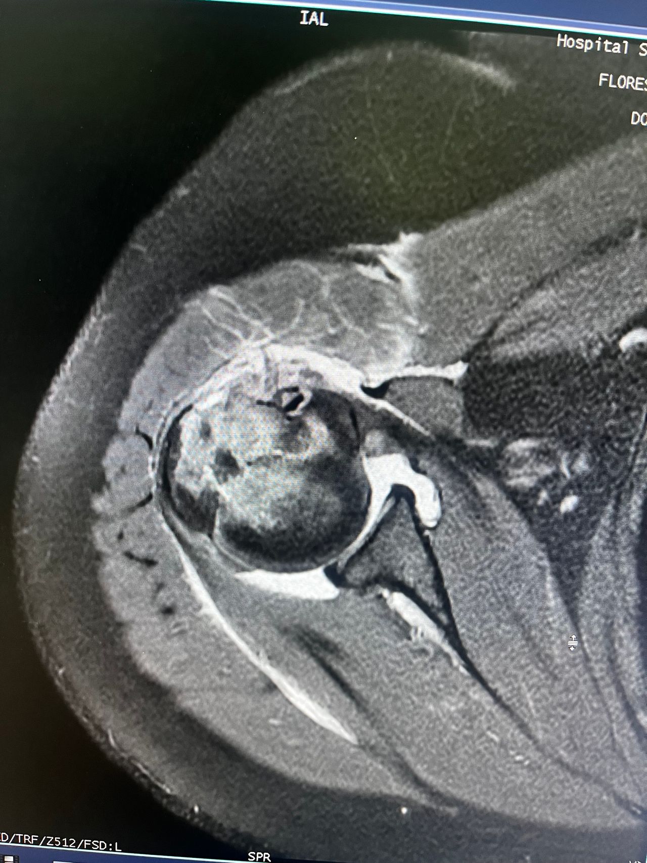 Rogelio Hernández García-42