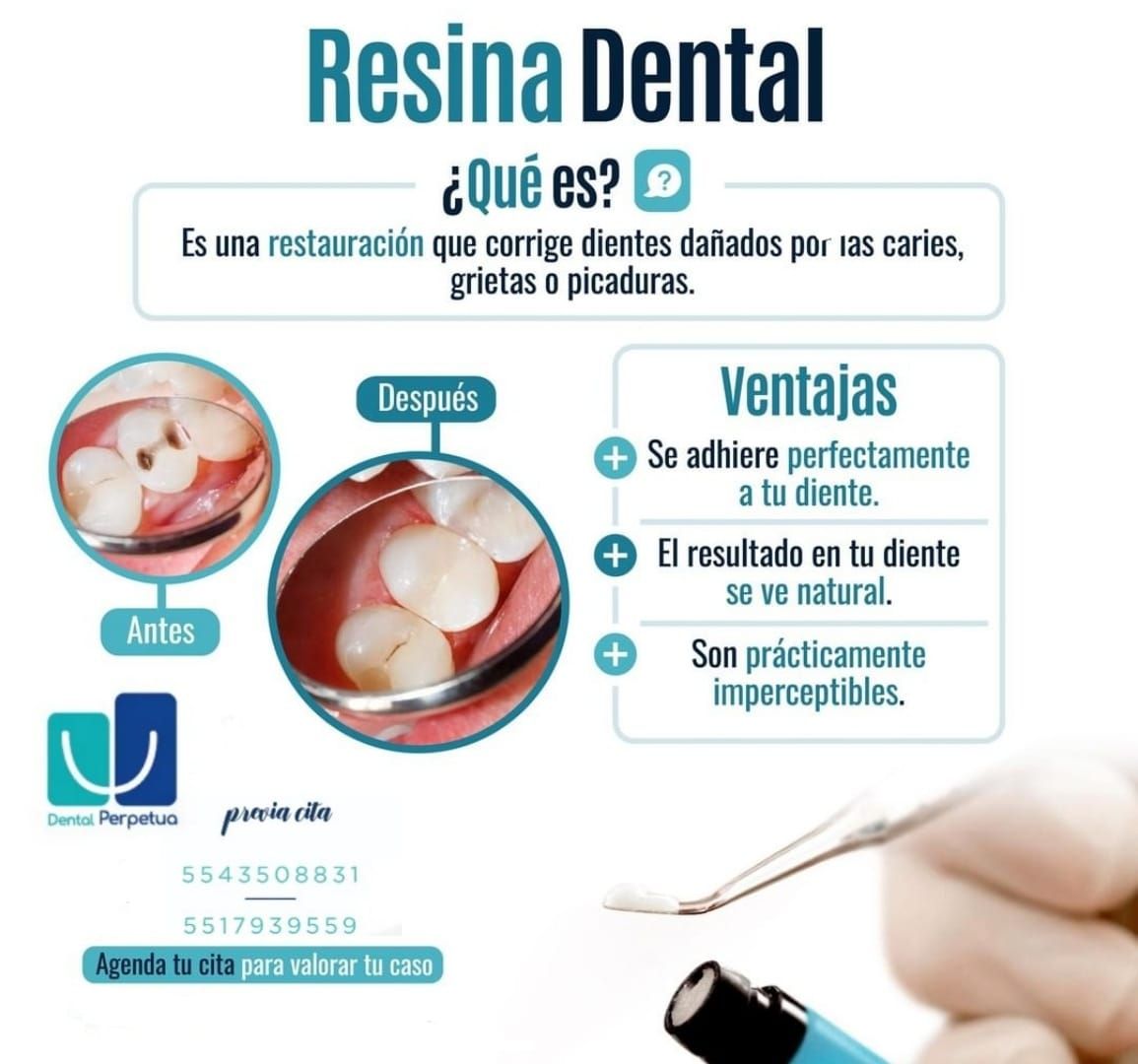 Laura Olivia Solís Ávila-12