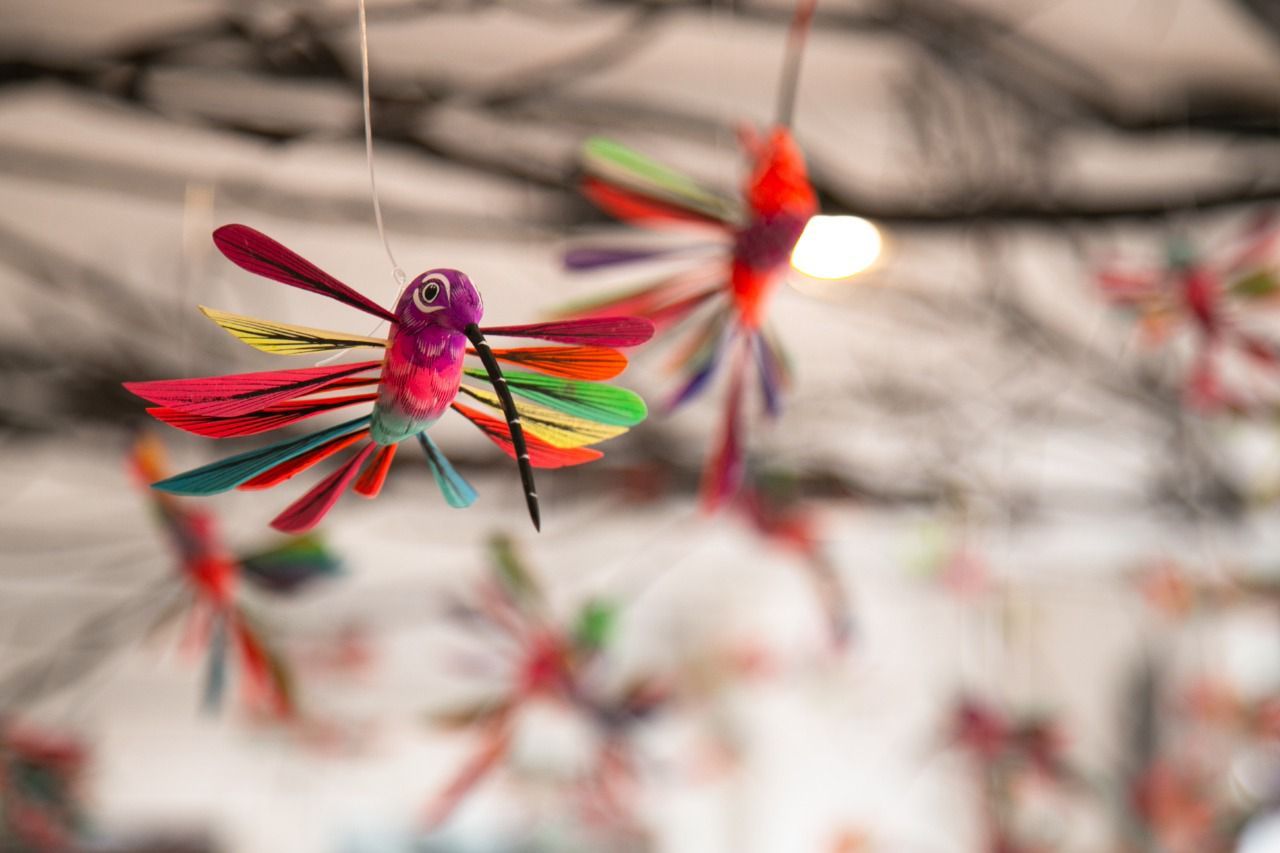 Nancy Hernández Becerra-5