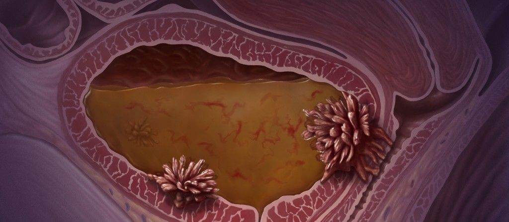 Pedro Enrique Martínez Constantino-14