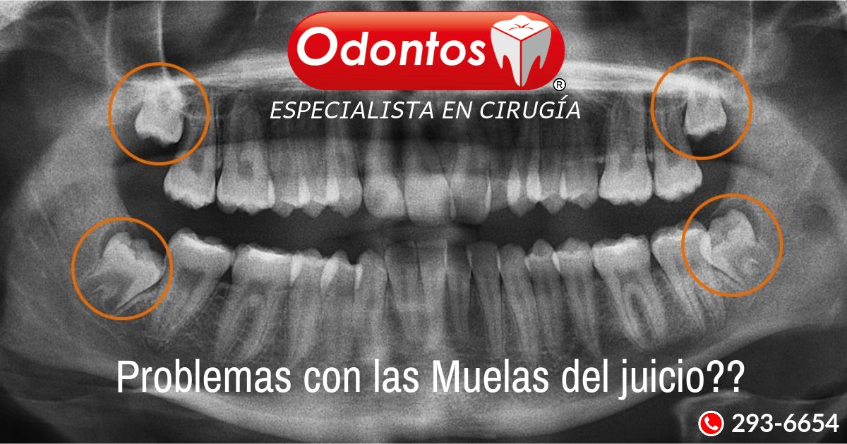 Ana Isabel Valadés Rabasa-7