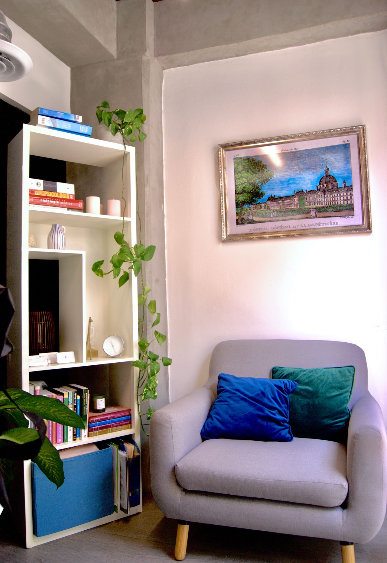 Fernando Javier Téllez Gómez-7