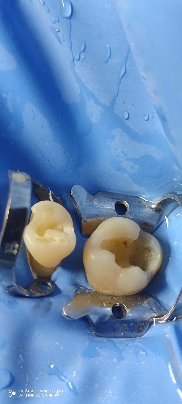 Jonathan Manuel Morán Castell-27