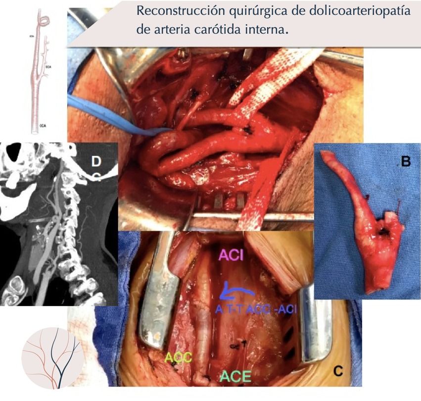 Erika Berenice Ramírez Pérez-10
