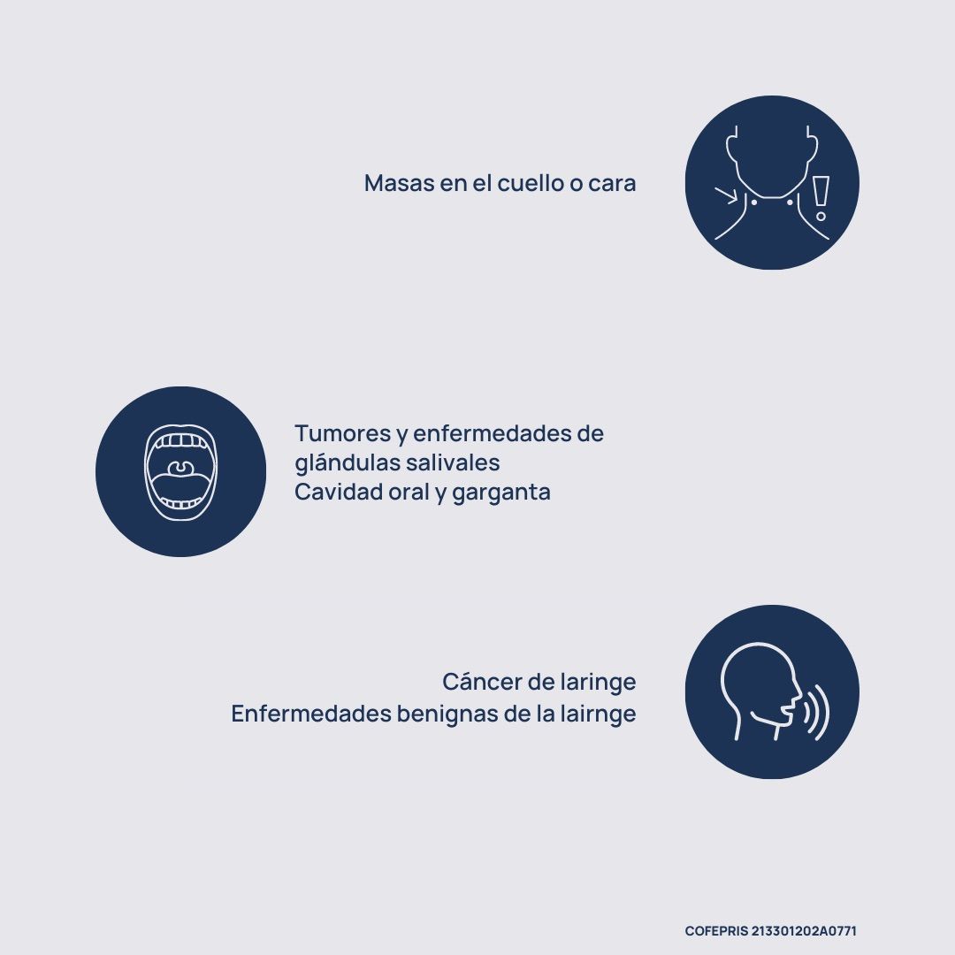 Alejandro Alvarez Padilla-5