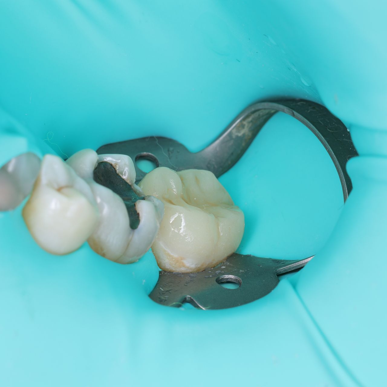 Marco Antonio Rodríguez-10