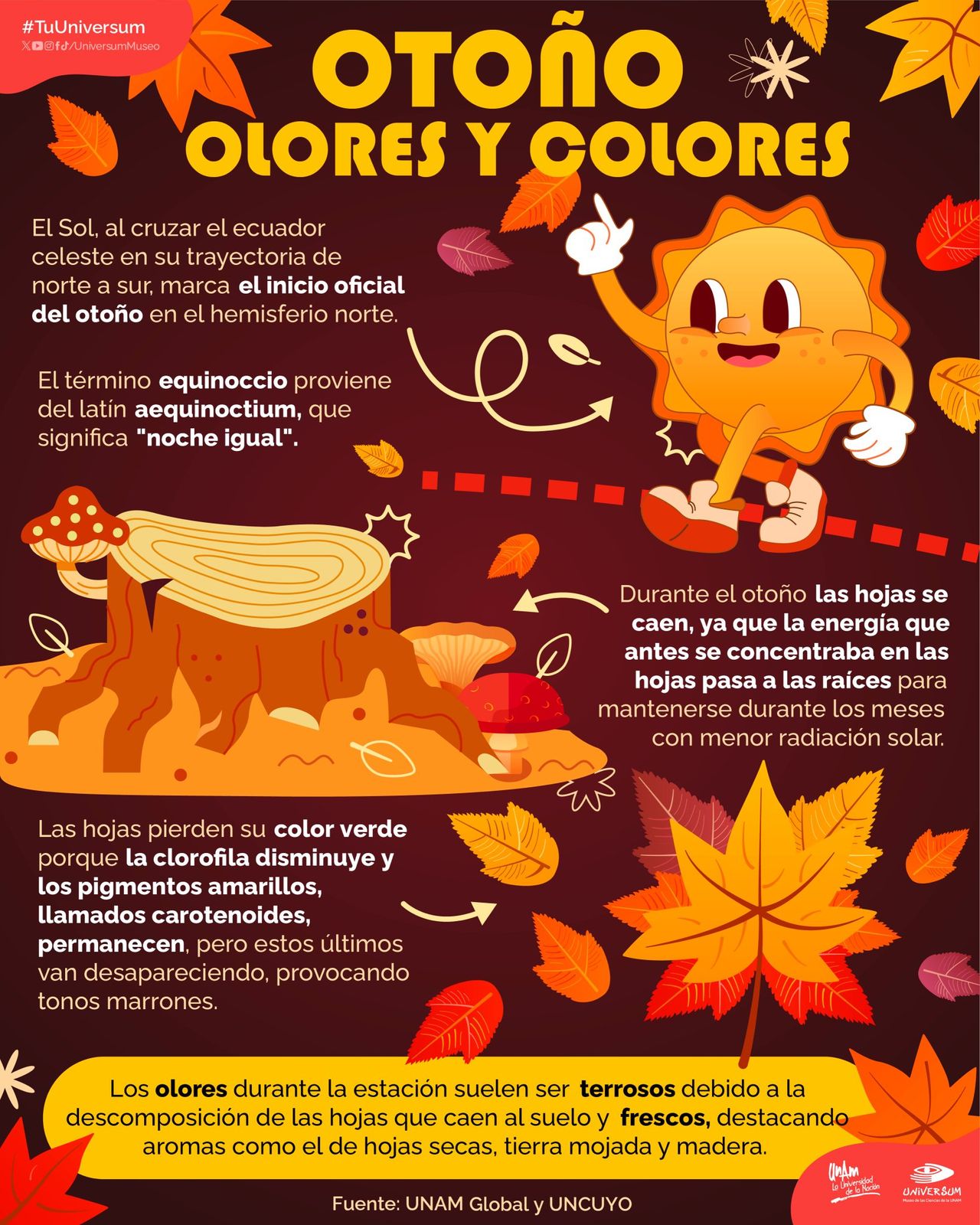 Raymundo Alejandro Cuevas Escalante-323