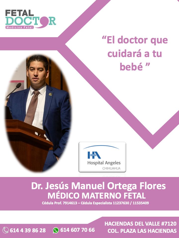 Jesús Manuel Ortega Flores-8