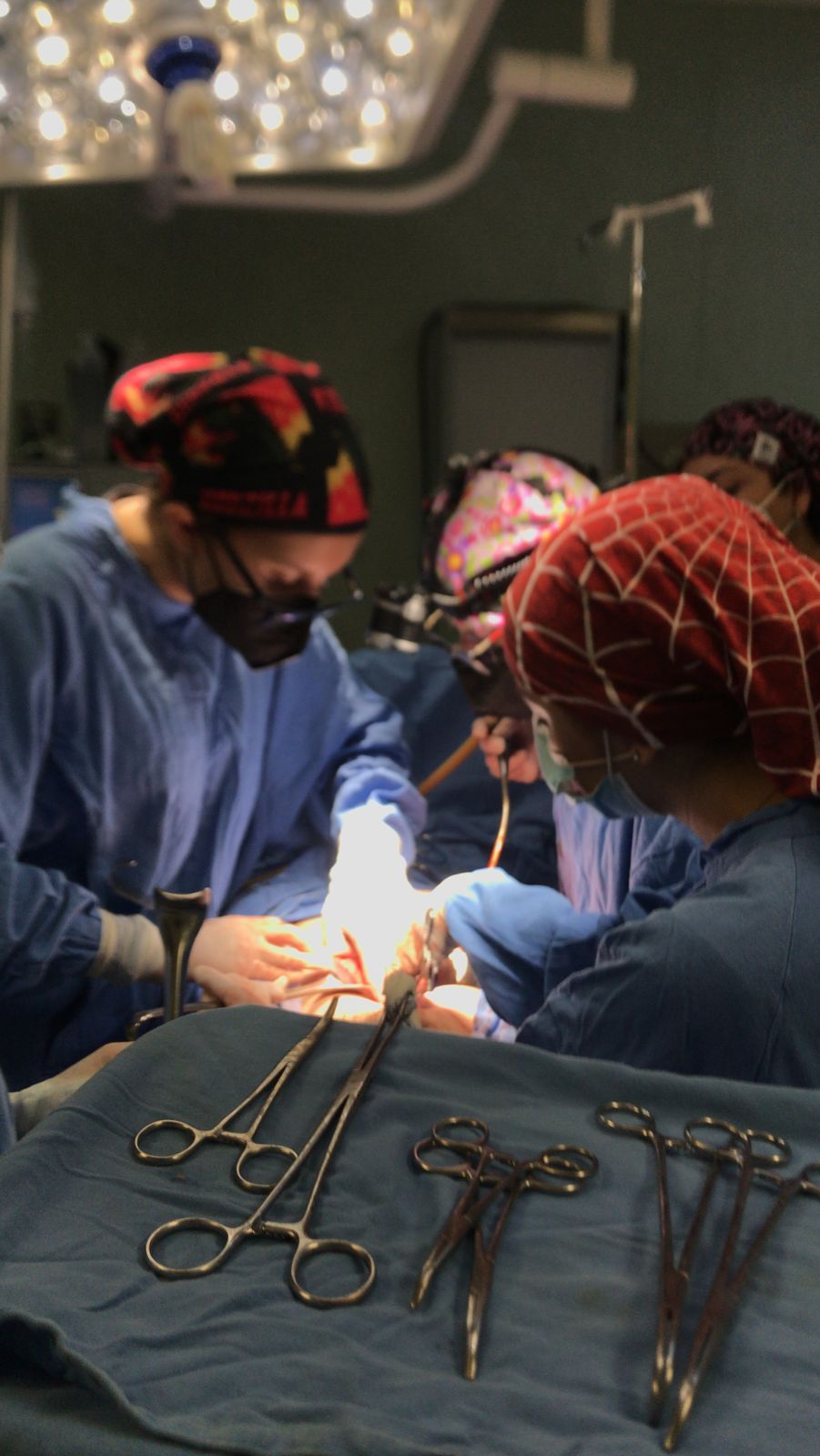 Adriana Hernández Magallanes-5