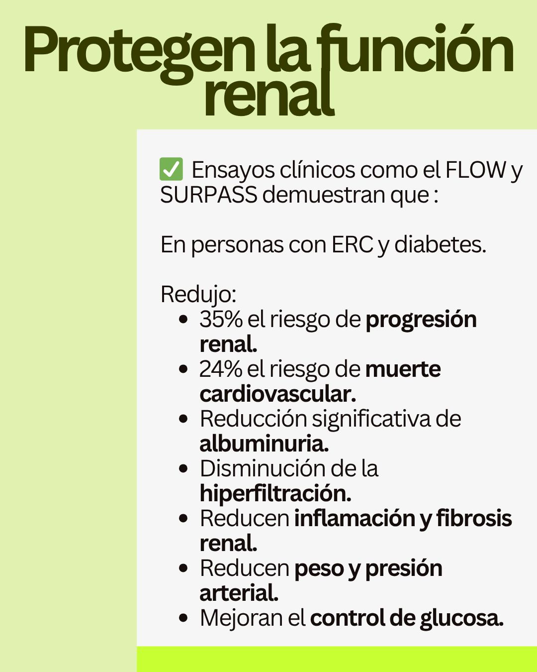 Ana Karen Ramirez Iracheta-11