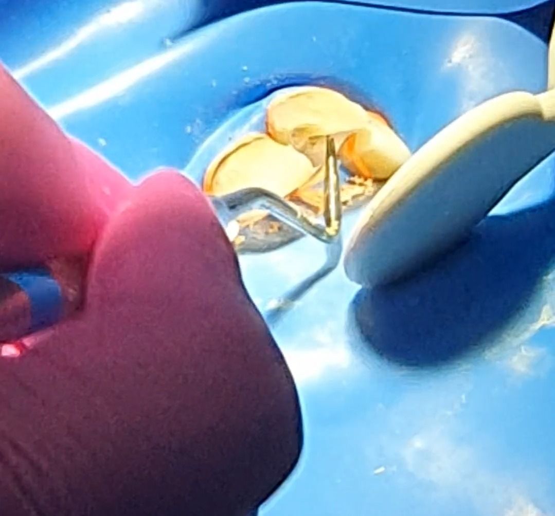 Fabiola Arcos Huesca-32