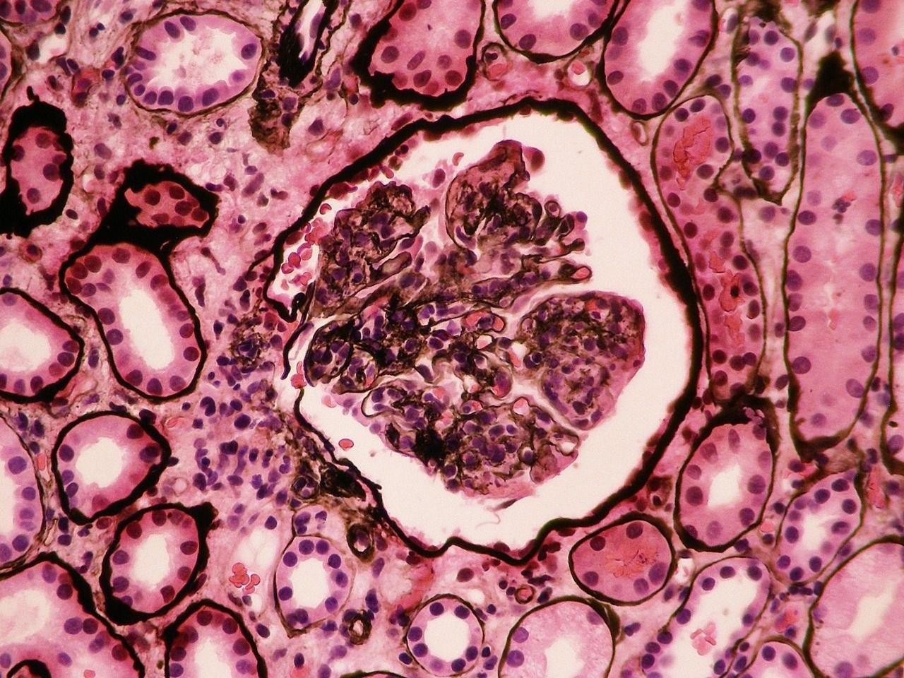 Georgina Del Rocio Guerrero Obregón-4