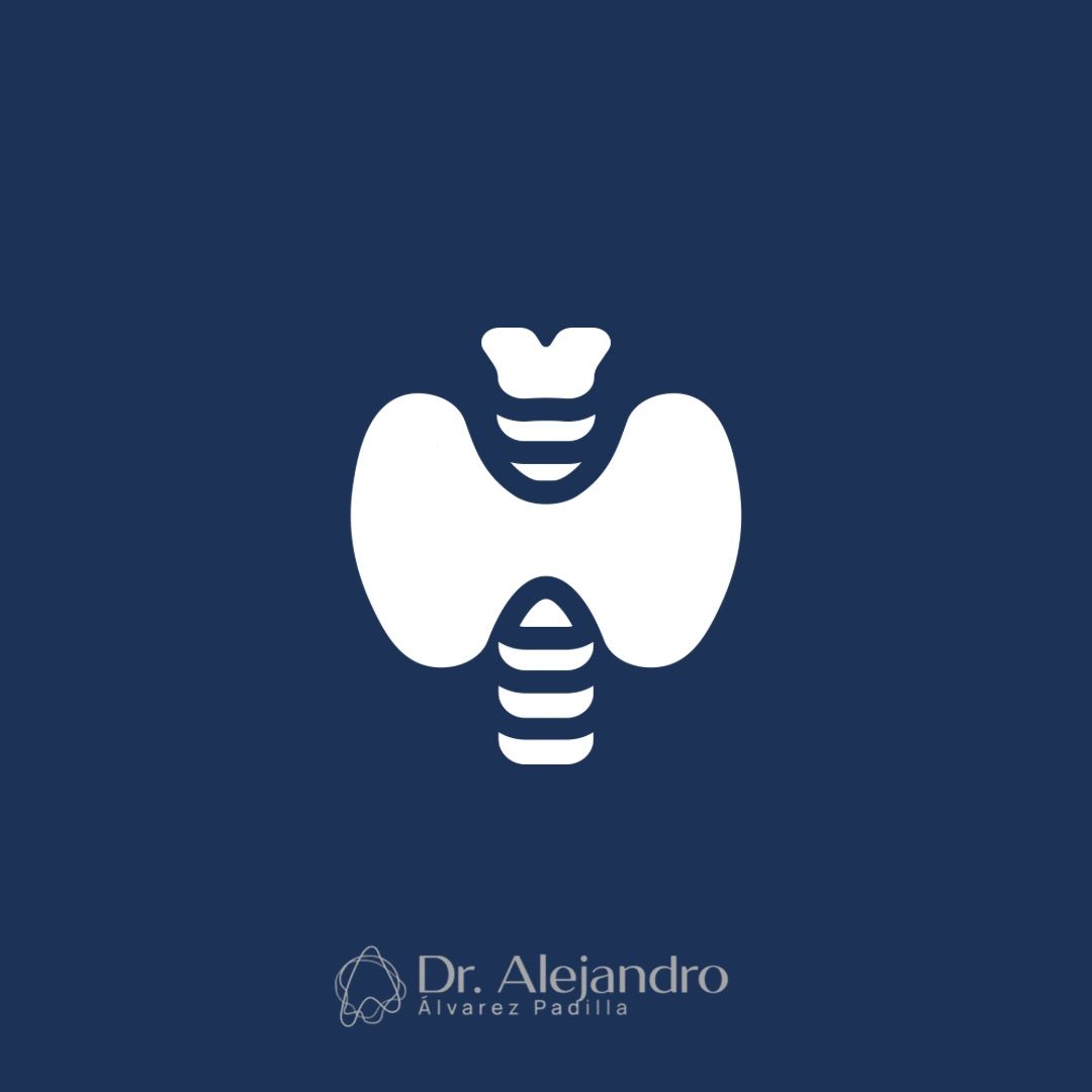 Alejandro Alvarez Padilla-12