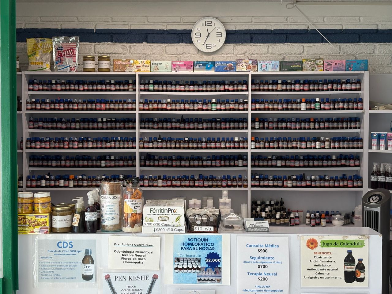 José Ramón Menchaca Castillo-1