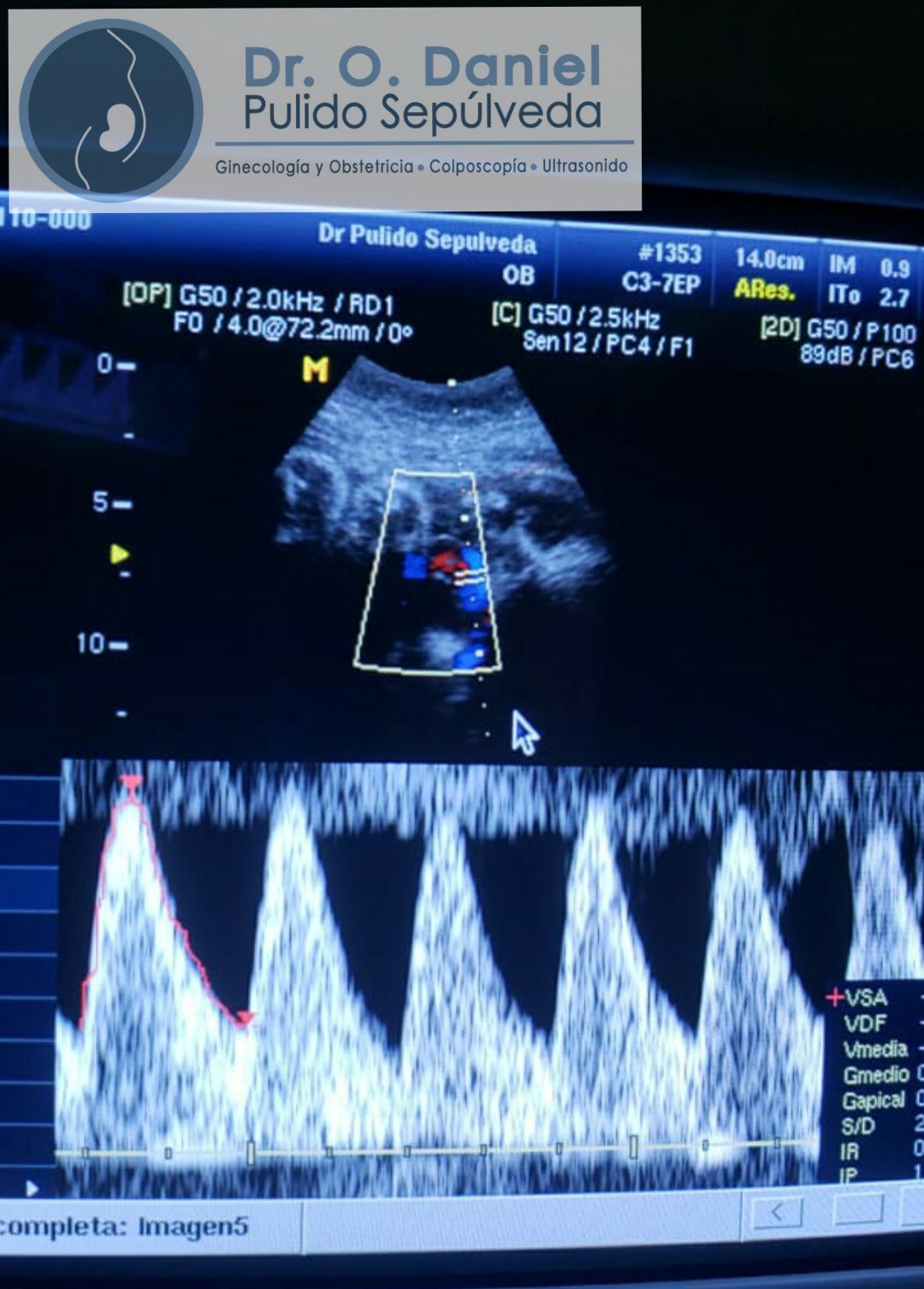O. Daniel Pulido Sepúlveda-10