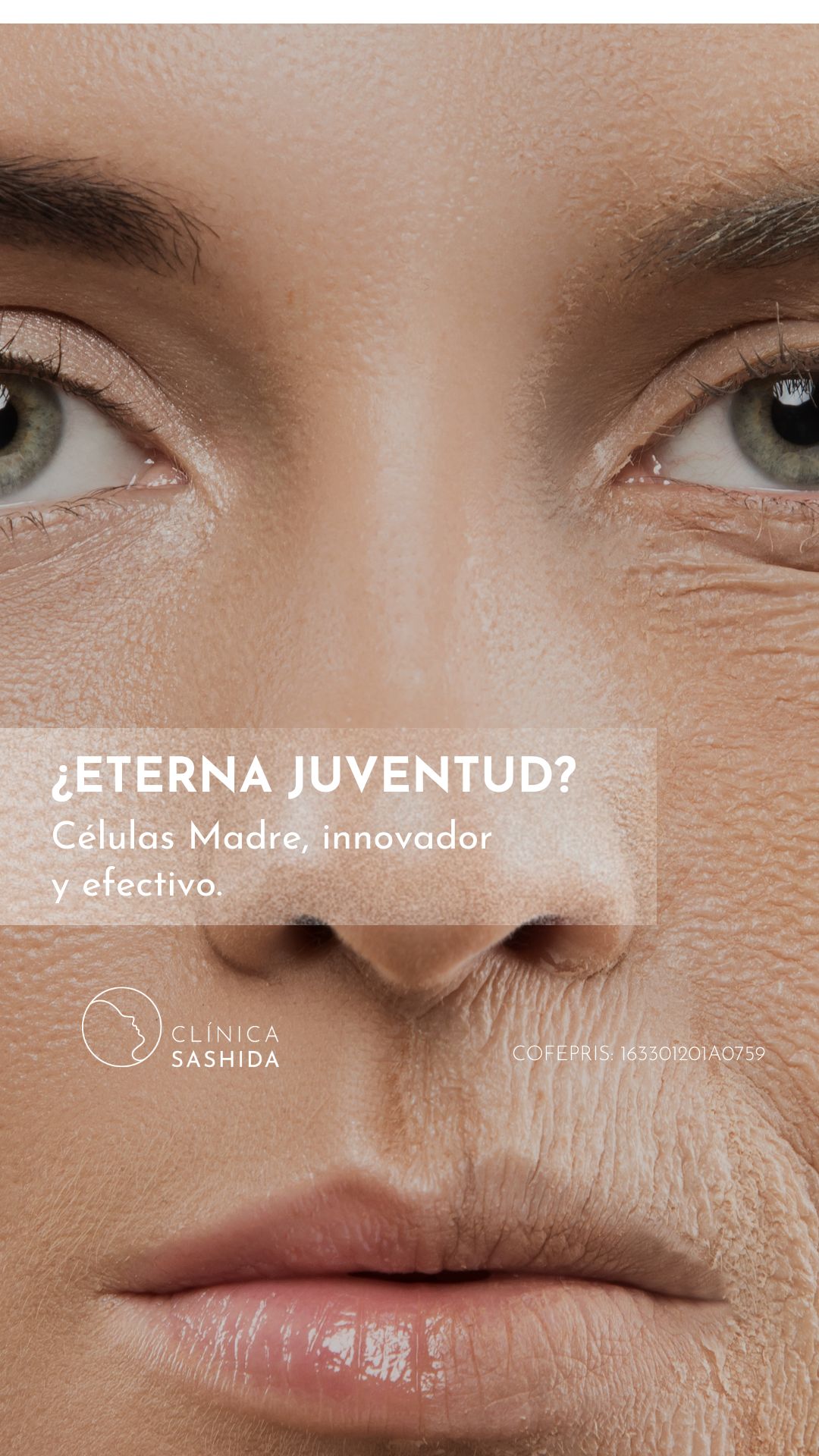 Hirosi Sashida Méndez-2