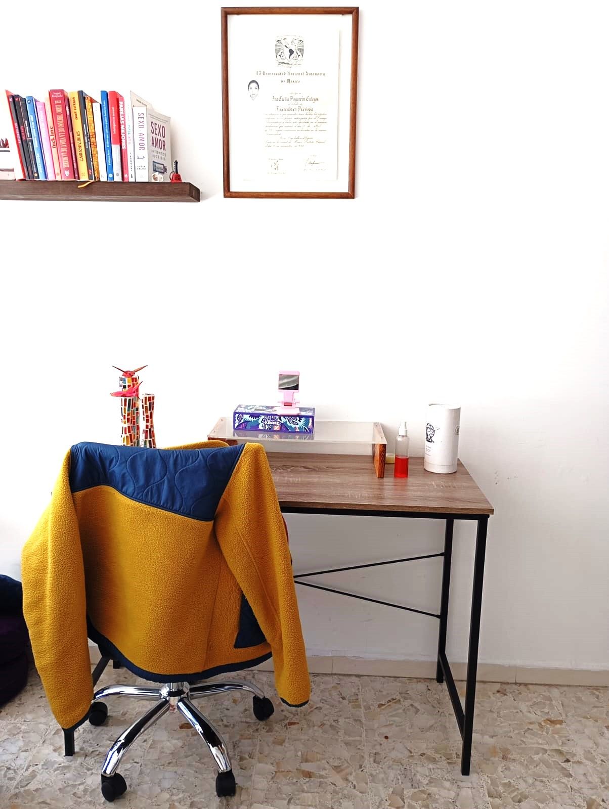 Cecilia Pingarrón-1