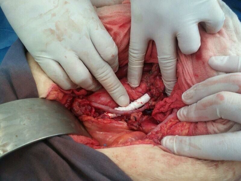 Roberto Águila Márquez-6