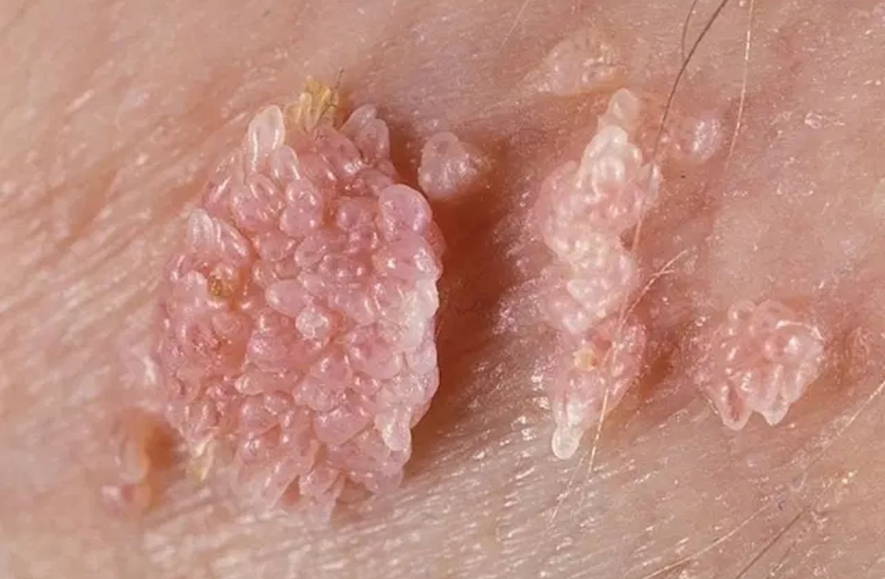 Marco Antonio Sillas Martínez-10