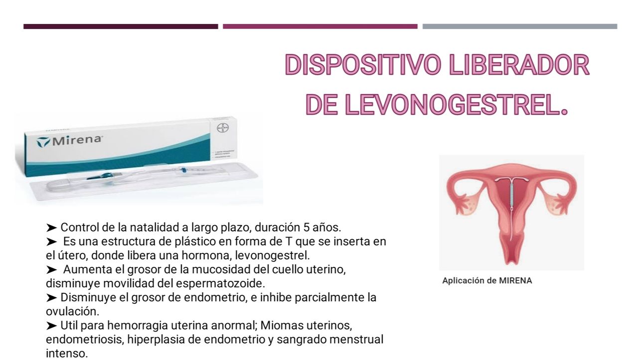 Aremi Castillo Dominguez-4