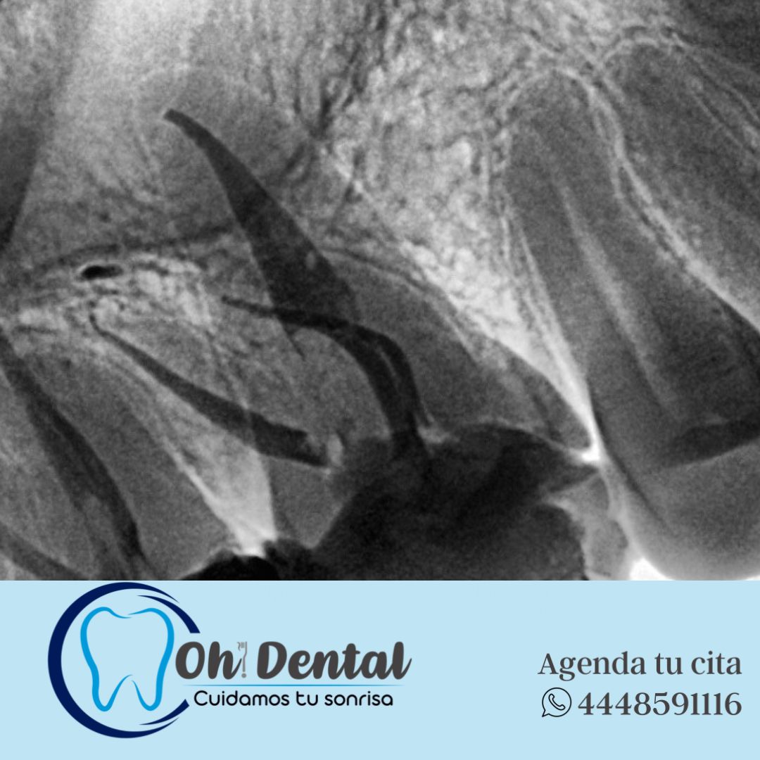 Dany Grizel Andrade Casas-6