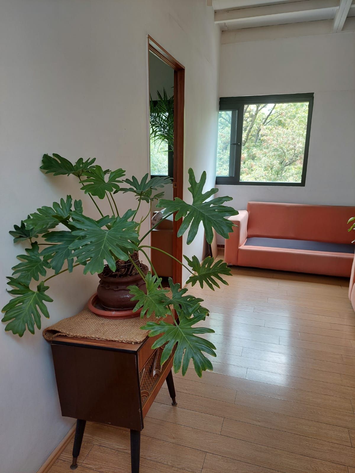 Yinzi Josué Rodríguez Esquivel-3