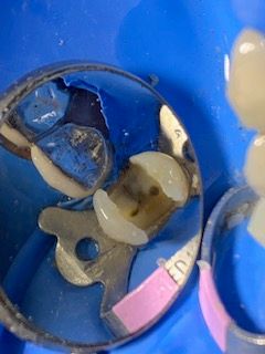 Claudia Isabel Chuc Cool-4