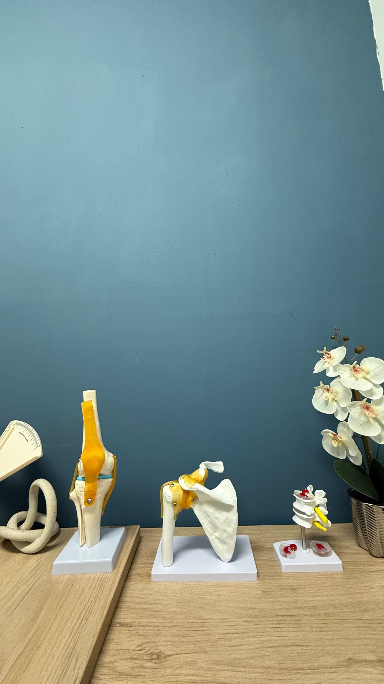 Brisa Ochoa Castillo-5