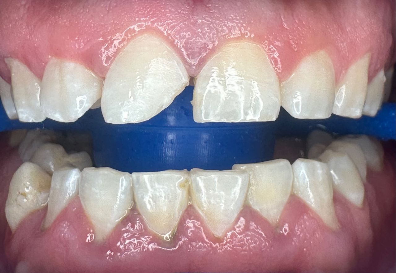 Alberto Carlos Vite Catedral-2