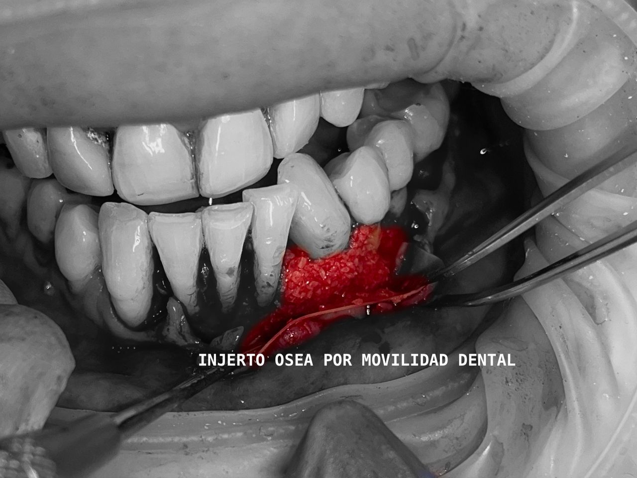 José Luis Gil Pérez-19