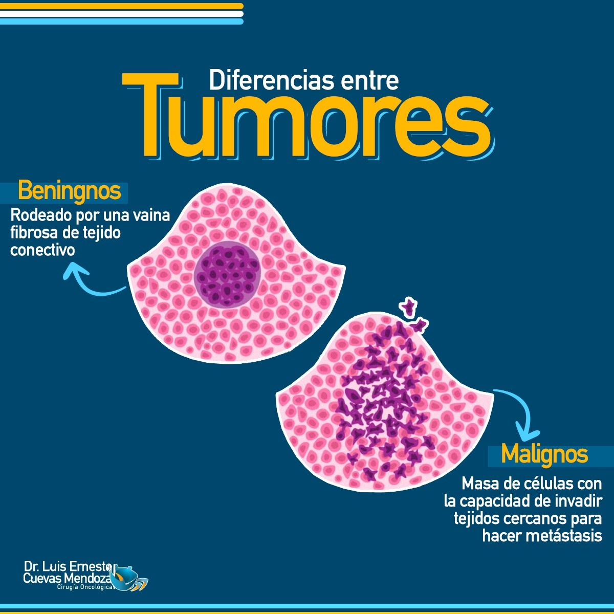 Luis Ernesto Cuevas Mendoza-318