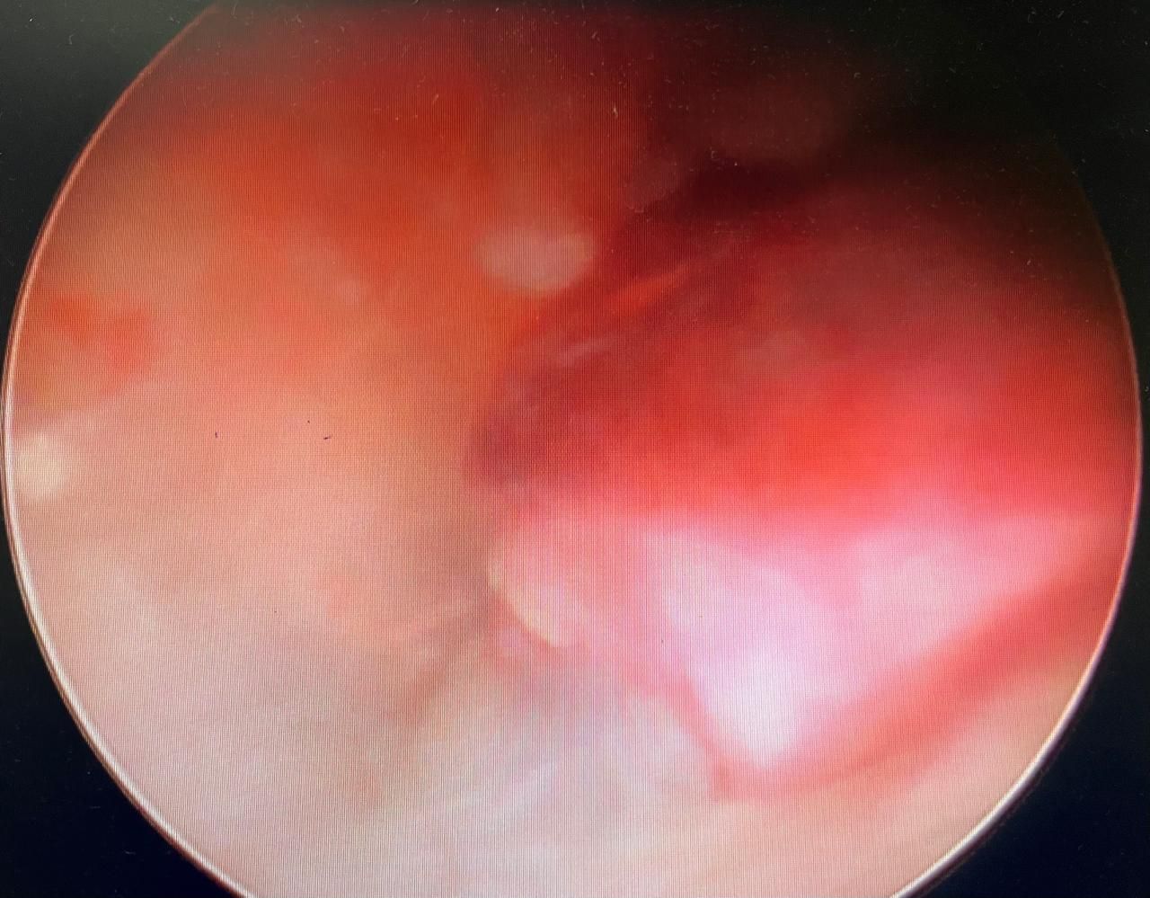 Sandra Faviola Dávila Molina-6