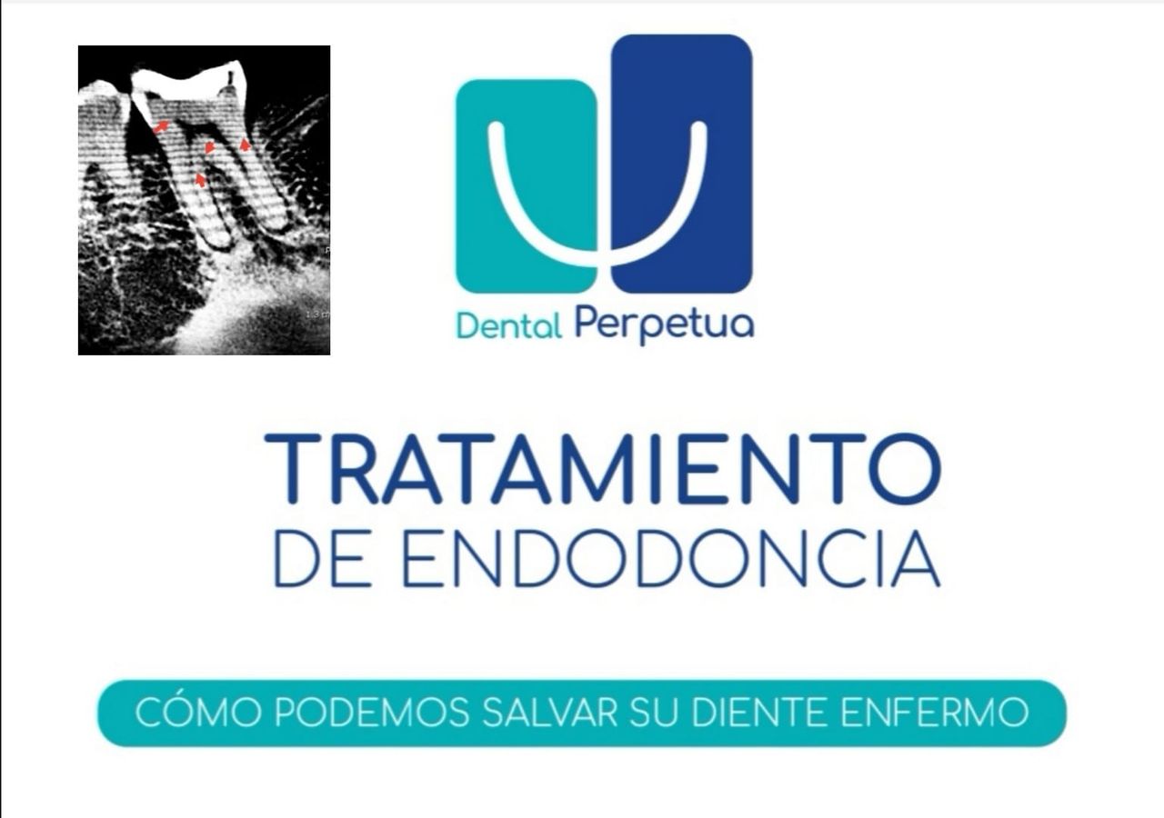 Laura Olivia Solís Ávila-13