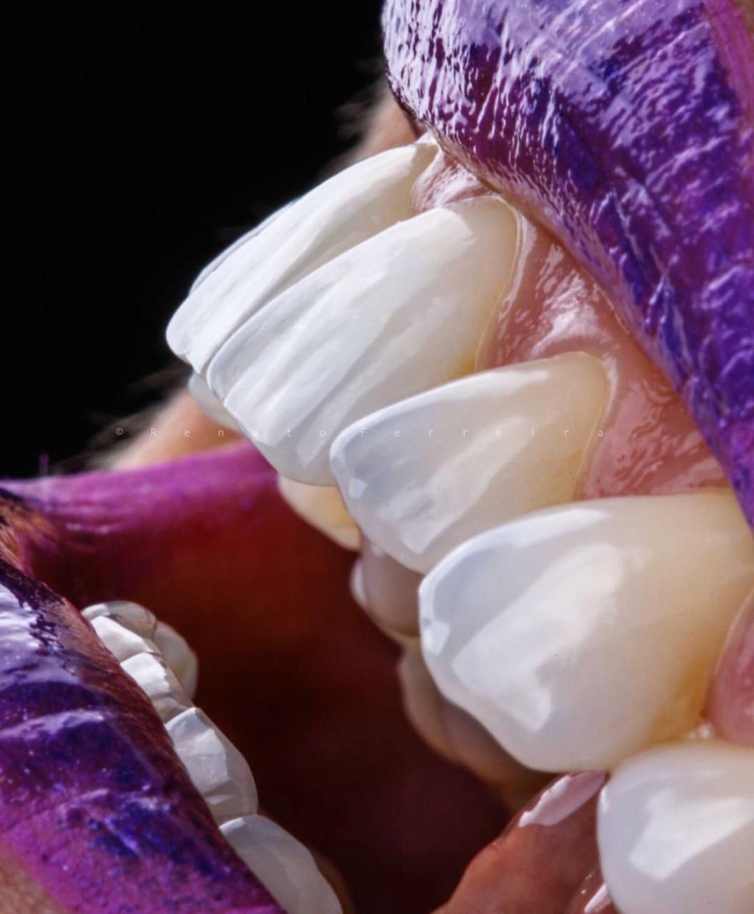 Zuleica Vera Apan-64