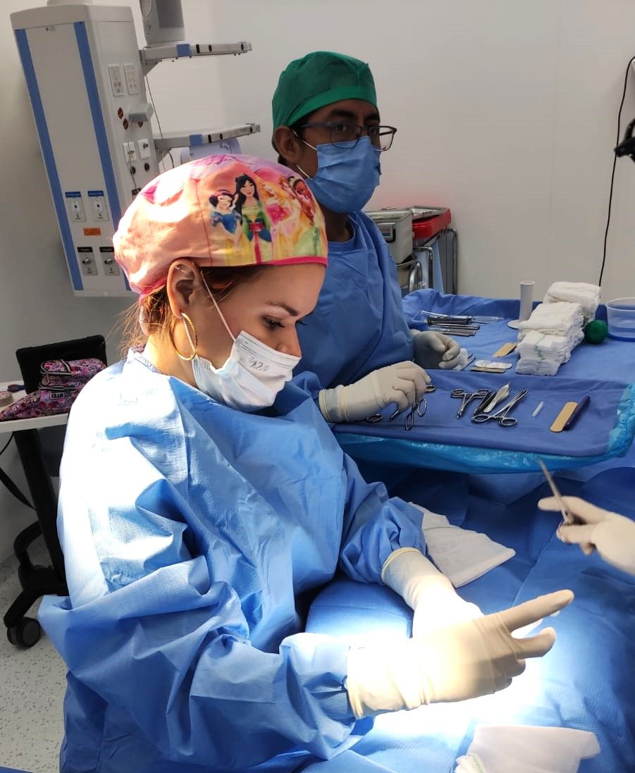 Andrea Carolina Borges Rojas-10