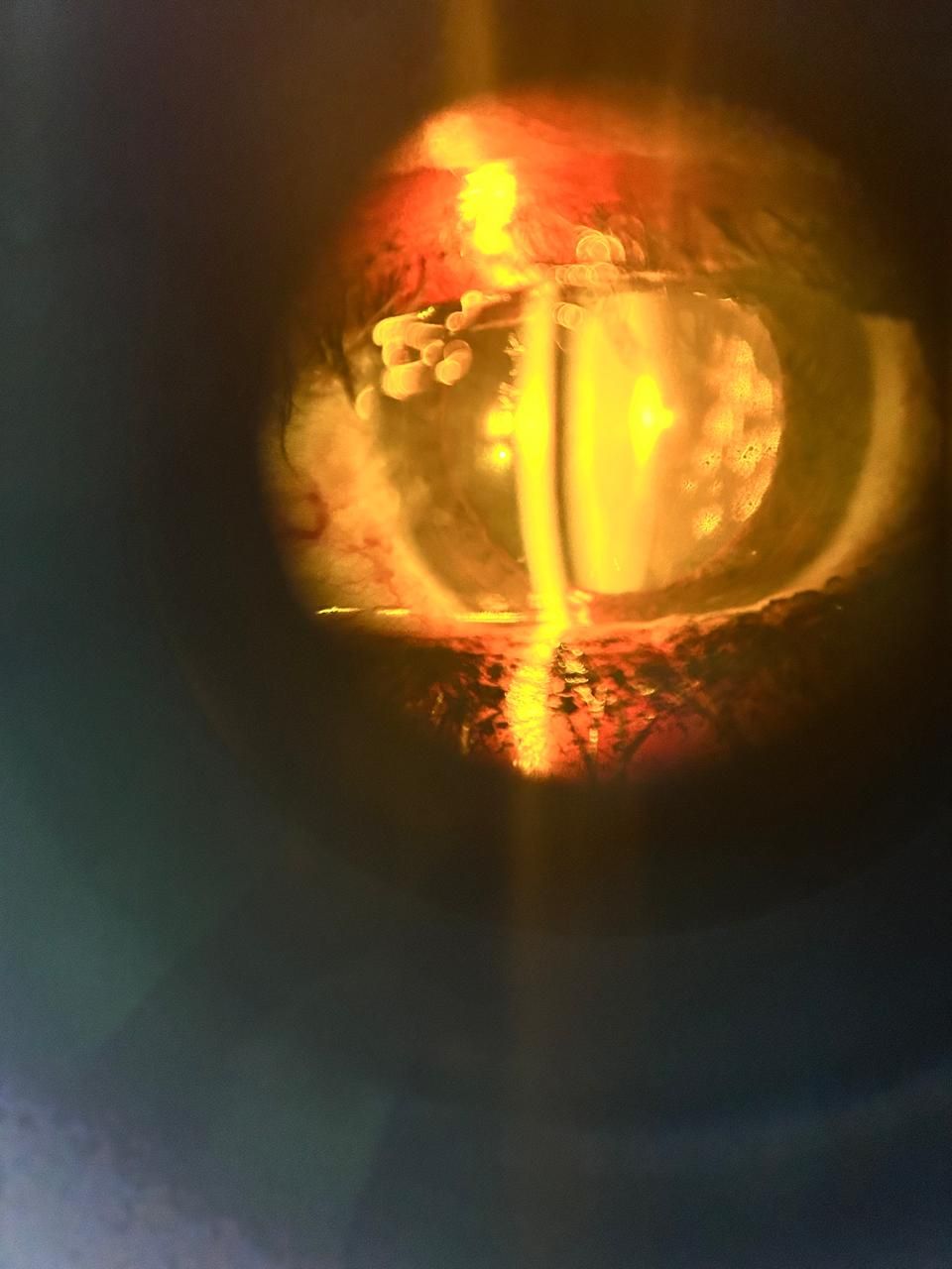 Daniel Martin Laguna Muñoz-35