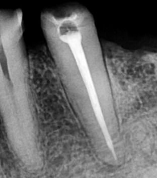 Alicia Hernández Pantoja-7