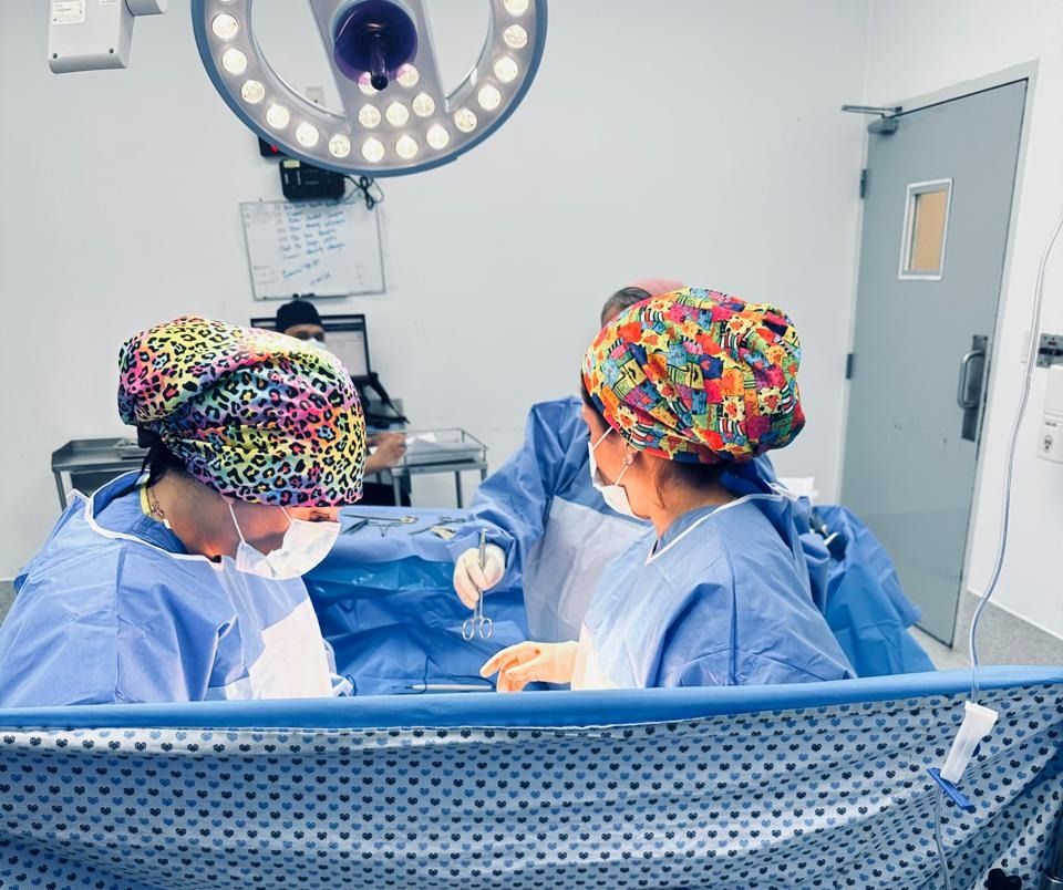 Dulce Anabel Jarquin Arango-32