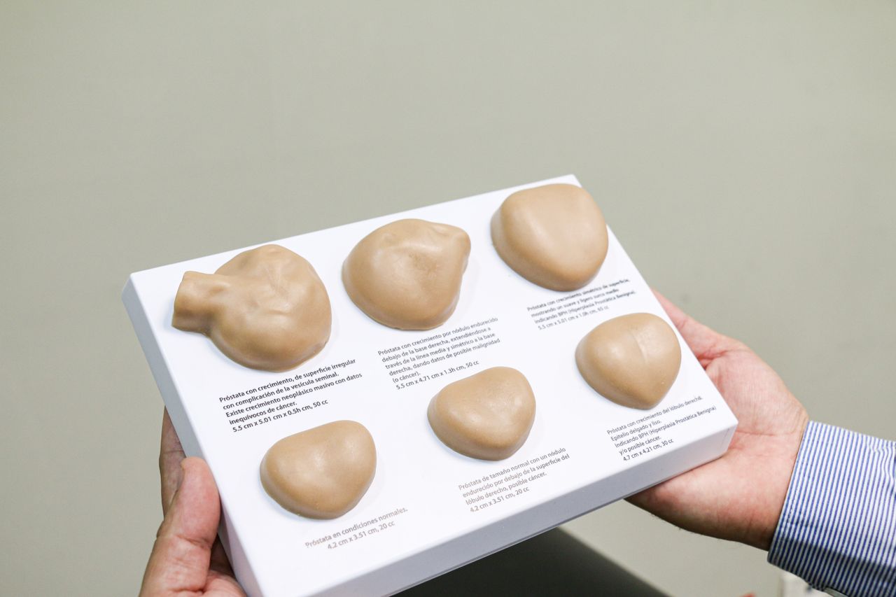 Emilio De León Castorena-2